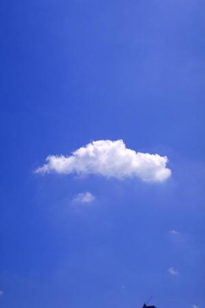 静岡市の安心葬儀を実現する富士葬祭 豊田：特徴と店舗情報の徹底解説