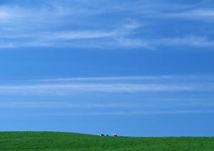 静岡市で信頼できる葬儀サービスを提供する富士葬祭材木町の紹介と特徴