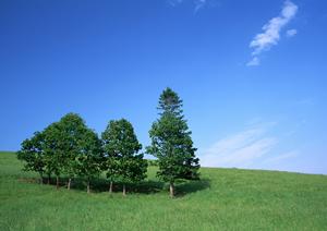 浜松市内の家族葬に最適！富士葬祭 浜北沼の葬儀サービスと特徴をご紹介