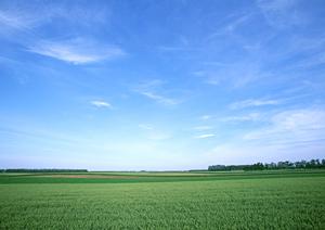 静岡県焼津市で選ばれる家族葬の専門斎場｜家族葬のタクセル東小川の特徴とサービス