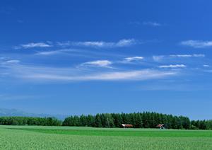 静岡県富士宮市の家族葬ホール・葬儀場を総合案内 ? 富士葬祭の特徴とサービス詳細