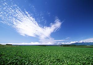 浜松市中央区の信頼できる葬儀場【富士葬祭 森田町】詳細ガイド